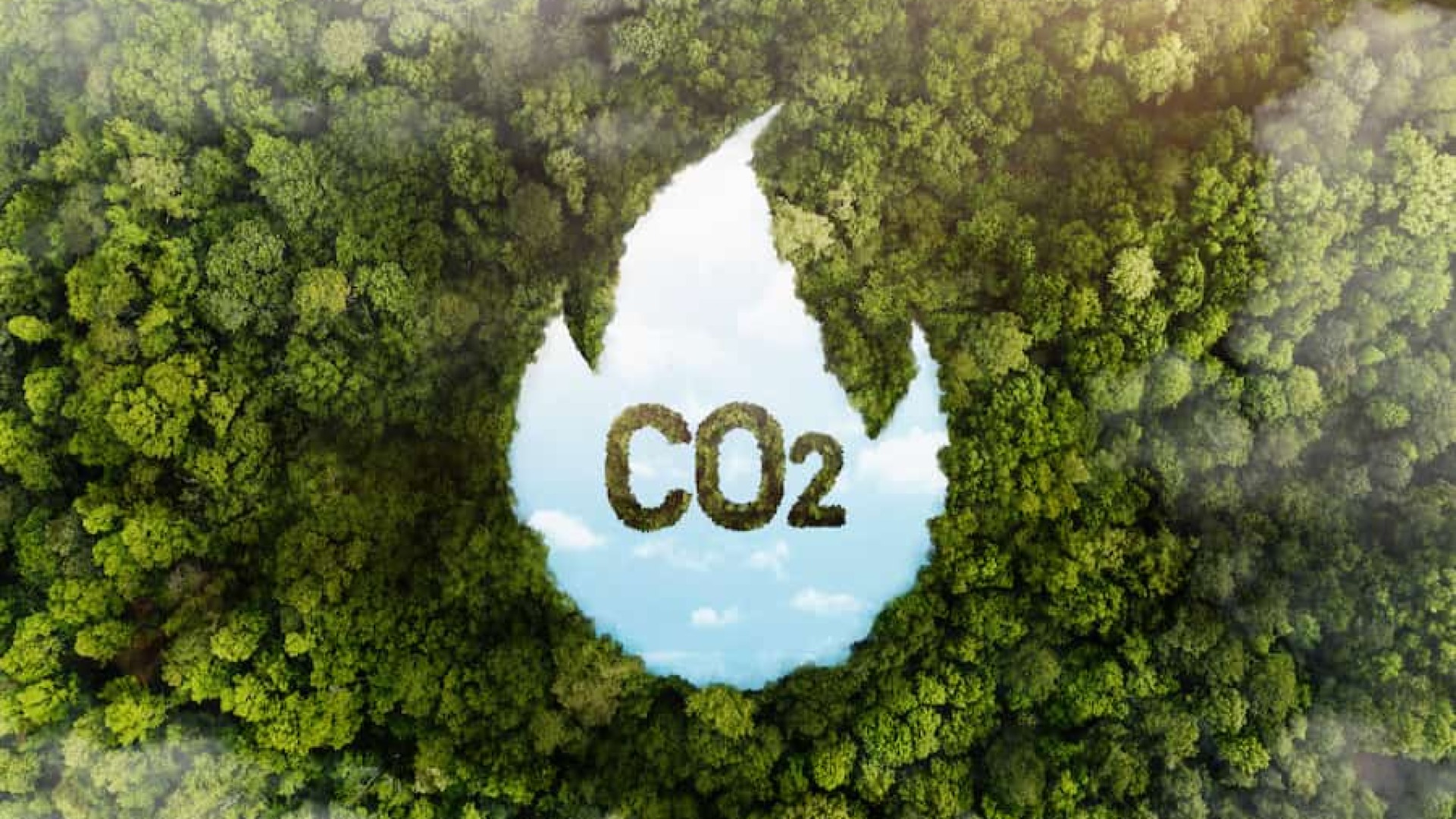 Carbon Credits, Markets and Trading: Frequently Asked Questions